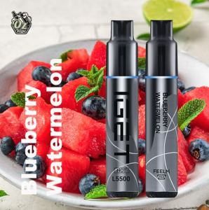 IGET Hot – Blueberry Watermelon – 5500